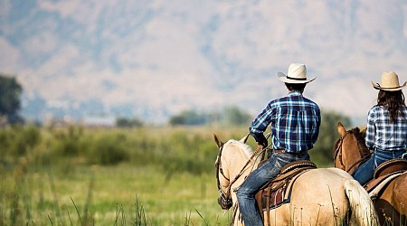 In Cheyenne, Wyoming, $125 Gets You a Taste of the Cowboy Lifestyle