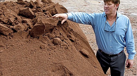 Western Pennsylvania dirt is used in the infields of most MLB stadiums (2017)