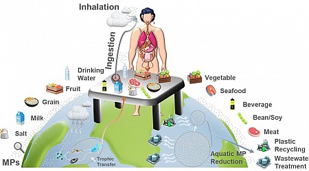 Study maps human uptake of microplastics across 109 countries