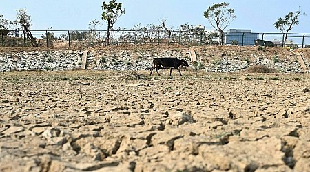 Réchauffement climatique : 26 jours de chaleur « excédentaires » dans le monde l’an dernier