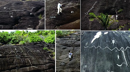 El nuevo hito de la arqueología rupestre está entre Venezuela y Colombia: una serpiente zigzagueante de 42 metros