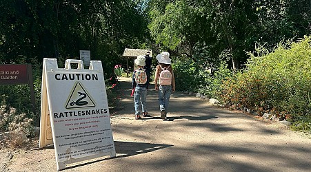 Lessons from rattlesnake class in the American Southwest