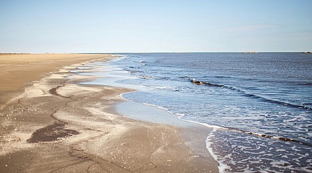 Gulf of Mexico Dead Zone