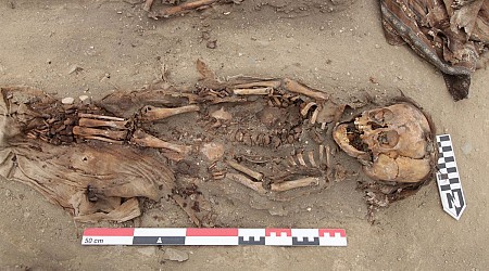 Skeletons of Incan kids buried 500 years ago found marred with smallpox