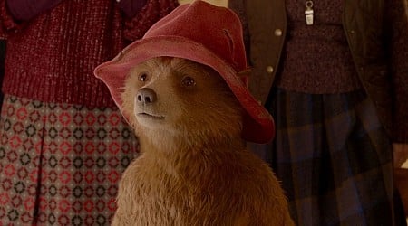 Paddington 3 Trailer Released