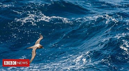 Por que o Oceano Pacífico é mais alto que o Atlântico - e como isso afeta o Canal do Panamá