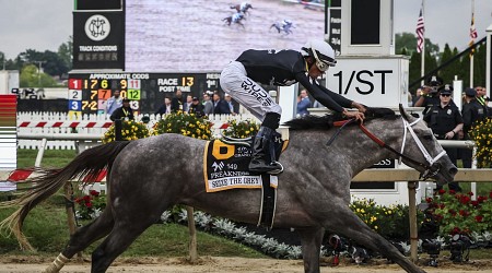 Belmont Stakes 2024: Early Predictions for Seize the Grey, Top Contenders