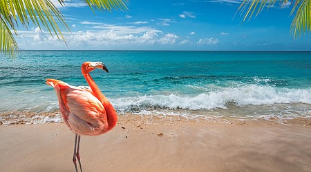 Caribe com a GOL! Voos diretos para Aruba ou Costa Rica a partir de R$ 2.374