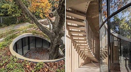 This House Was Built Around A 100-Year-Old Oak Tree