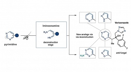 Chemistry researchers showcase new method to aid in pharma, agrochemical compound development