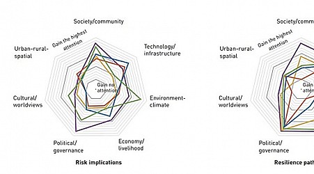 Comparative research on resilience-related policies and local practices in five cities worldwide