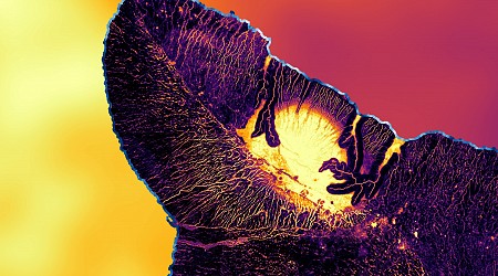 Modeling the Hawaiian Shoreline