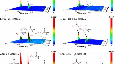 Sulfur molecules from space may have seeded early life on Earth