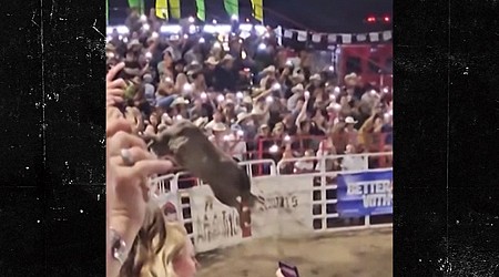 Oregon Rodeo Bull Won't Be Put Down Following Rampage, Officials Say