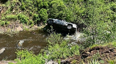 Wagen stürzt in tiefe Schlucht - Mann hat schweren Autounfall - Hund läuft sechs Kilometer, um Hilfe zu holen