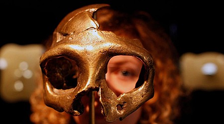 Humans and Neanderthals only had sex for a brief period, but it still fundamentally changed our DNA
