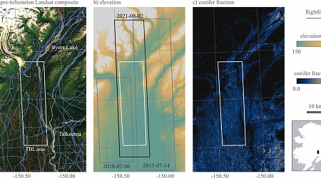 New way to spot beetle-killed spruce can help forest, wildfire managers