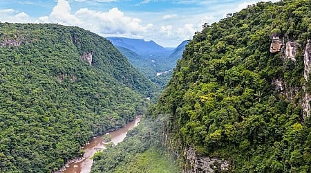 Giant Wildlife, Waterfalls, and a Canopy Walkway: 5 Epic Adventures in Guyana (Plus Where to Eat After)