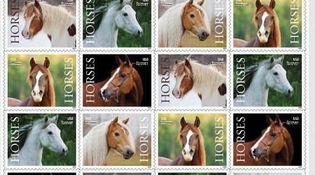 U.S. Postal Service trots out new Horses stamps at Pony Express re-enactment