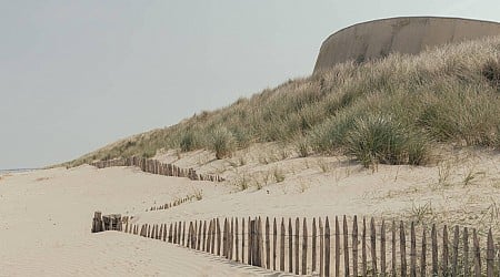 «Les stèles et les blockhaus risquent d’être envahis par les flots» : en Normandie, les vestiges du Débarquement en proie à l’érosion côtière