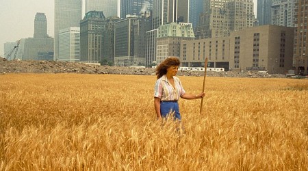 ‘Wheatfield’: Agnes Denes has reimagined her landmark artwork