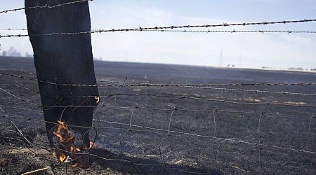 California grass fires may indicate severe wildfire season this summer, experts warn