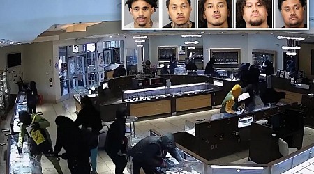 Gang of thieves smash-and-grab California jewelry store