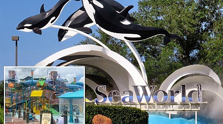 Florida woman sues SeaWorld after 'violently' colliding on a water slide with someone