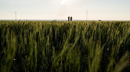 Farmers' financial pain spills from Kansas wheat fields to Main Streets