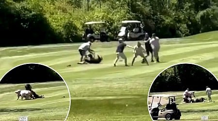 Insane six-man golf brawl breaks out during Father's Day round