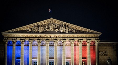 Tout juste élus le 9 juin, près d’un tiers des eurodéputés RN candidats aux législatives