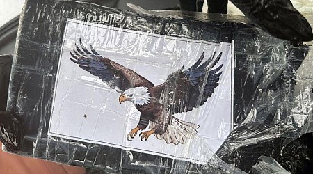 Boaters find over $1 million of cocaine - packaged with bald eagle designs - floating at sea off Florida Keys