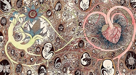 Enchanting Realms: Nature, Fantasy, and the Poetic Illustratons of Magda Boreysza
