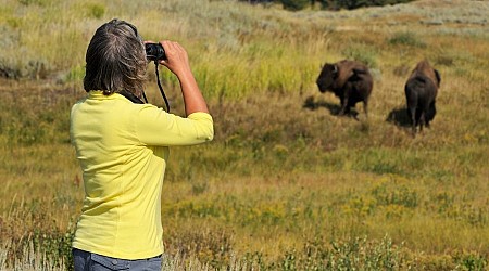 Every time tourists misbehaved in national parks this year — so far