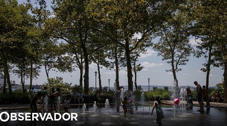 Ondas de calor na América são 35 vezes mais prováveis devido às alterações climáticas