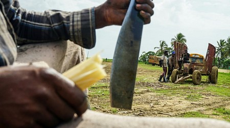 Dying for a pension: Haitian workers forsaken in Dominican Republic