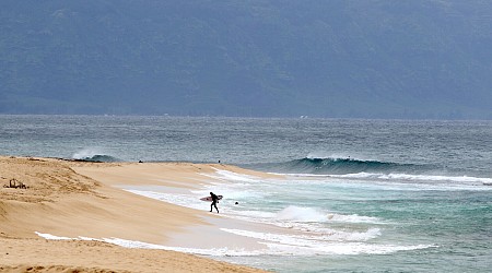 Hawaii lifeguard dies in shark attack while surfing off Oahu