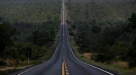 Deforestation in Brazil's Cerrado higher than in Amazon: Report