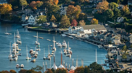 Camden, Maine: Trees poisoned at L.L. Bean family home