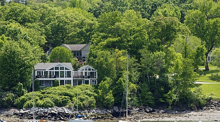 Poisoned trees gave a Maine couple an ocean view, but at what cost?