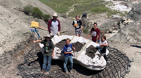 3 boys hunting for fossils made the ultimate discovery: a young T-rex skeleton that scientists have dubbed Teen Rex