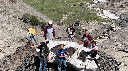 Family Discovers Rare T. Rex Fossil in North Dakota
