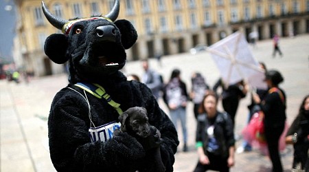 Colombia’s parliament has banned bullfighting - leaving just seven nations that still permit it