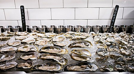 FDA Issues Warning About Paralytic Shellfish Poisoning. Here’s What to Know About the Illness