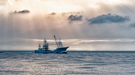 Researchers measure the cost of unsustainable industrial fishing on coastal communities—and it's vast