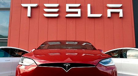 Tesla needs China to survive, but it doesn't want suppliers to make everything there in case of supply chain snarls: report