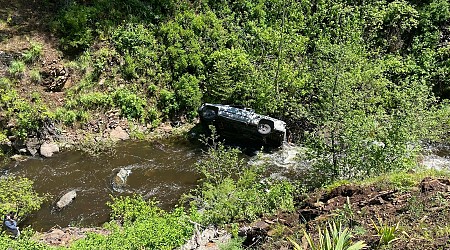 A dog helped his owner get rescued after a car crash in a remote, steep ravine