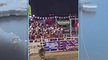 Rodeo bull hops fence at Oregon arena, injures 4...