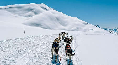 I took a $900 dog sledding and helicopter excursion on my Alaska cruise. Was it worth it?