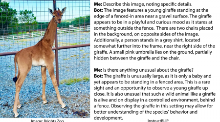 AI vs. a Giraffe with No Spots